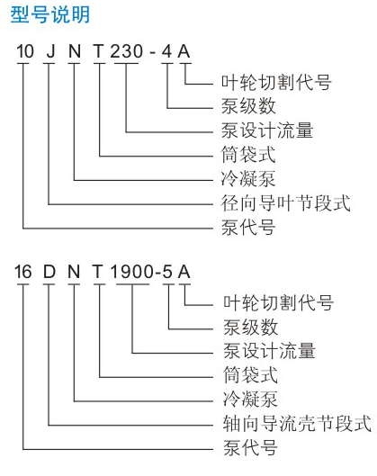 JNT型凝91香蕉污版APP