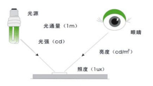 發光強度2
