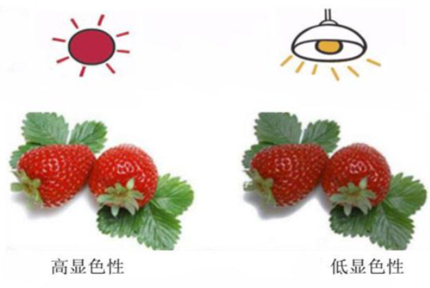光源顯色性